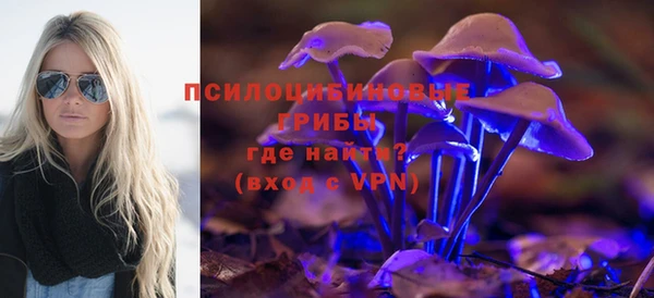 гашик Лиски