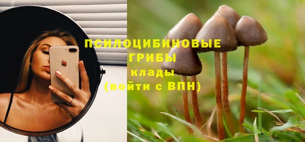 COCAINE Бердск