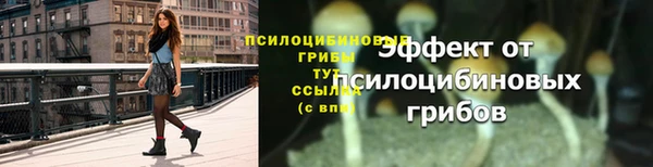 гашик Лиски