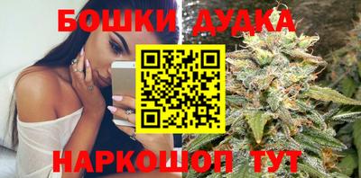 шишки Гагарин