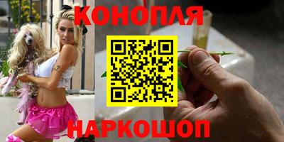 шишки Гагарин