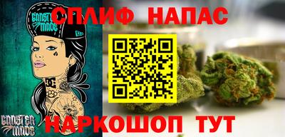 индика Балахна