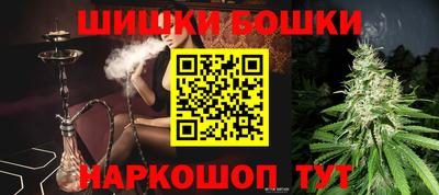 крисы Гай