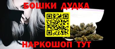 крисы Гай