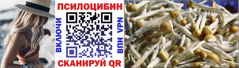 Псилоцибиновые грибы Psilocybine cubensis  дарнет шоп  Иваново 