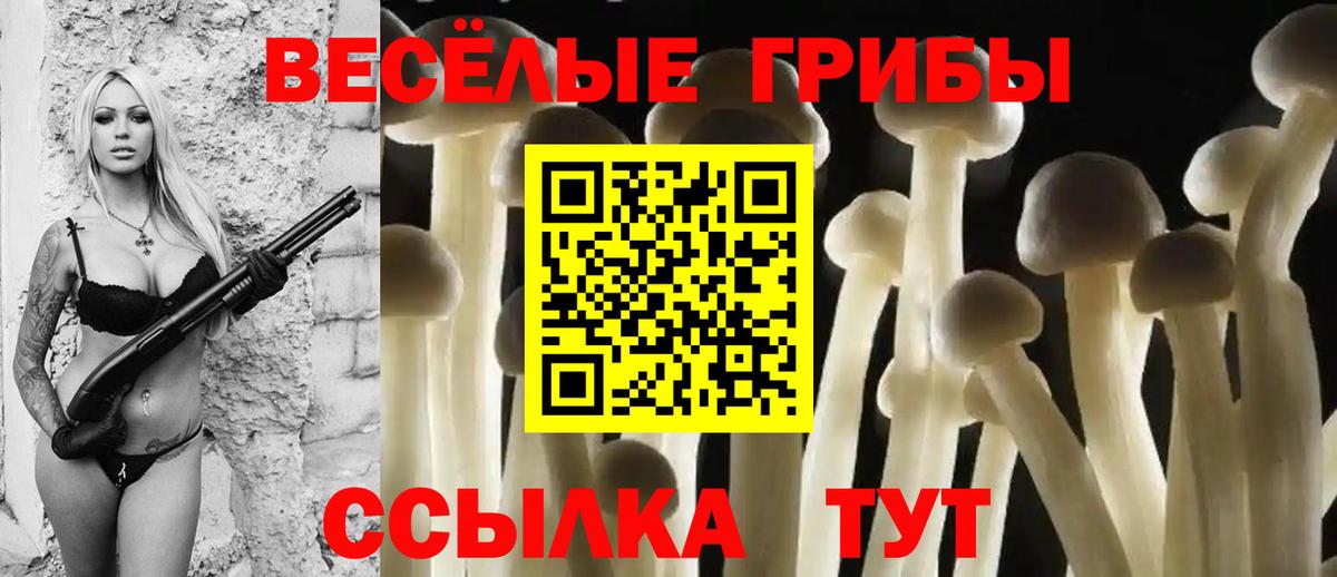 Галлюциногенные грибы Psilocybe Иваново